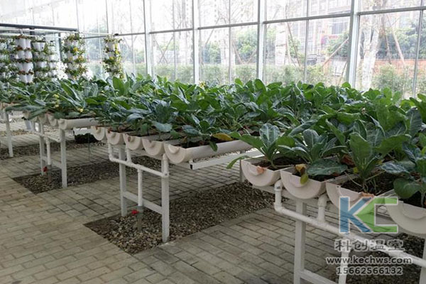 無(wú)土栽培，無(wú)土栽培技術(shù)，無(wú)土栽培設(shè)備