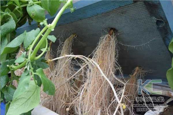無(wú)土栽培，無(wú)土栽培技術(shù)，無(wú)土栽培設(shè)備